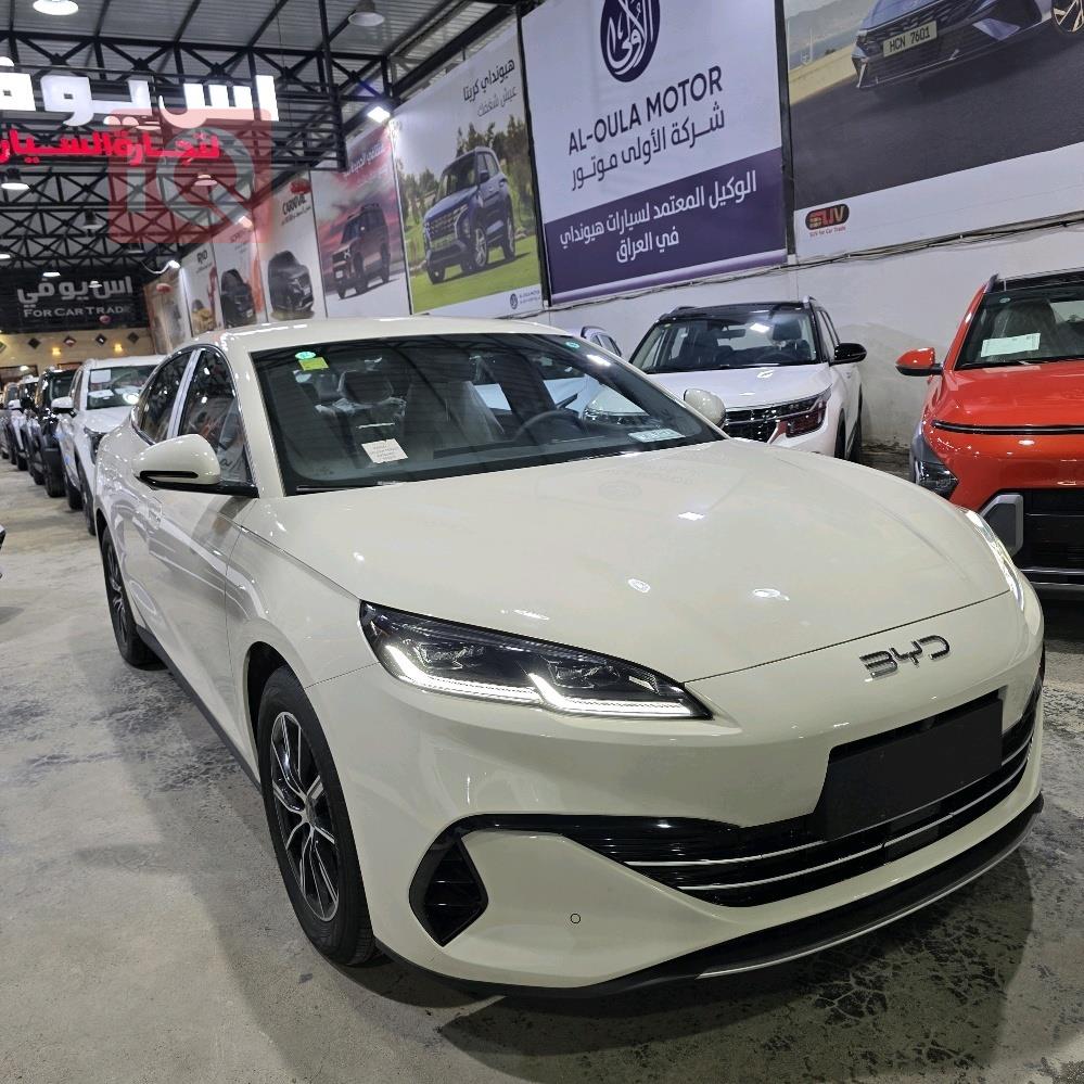 بي واي دي سيل 06 DM-i